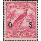 Raggiana Bird-of-paradise (Paradisaea raggiana) - Melanesia / New Guinea 1934