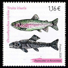 Rainbow Trout (Oncorhynchus mykiss) - Andorra, French Administration 2020 - 1.16