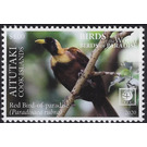 Red Bird of Paradise (Paradisaea rubra) - Aitutaki 2020 - 4