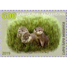 Red Book Of Kazakhstan : Eurasian River Otter - Kazakhstan 2019 - 600