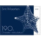 Red Cushion Sea Star (Oreaster reticulatus) - Caribbean / Sint Maarten 2021
