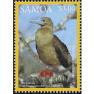 Red-footed Booby (Sula sula) - Polynesia / Samoa 2016 - 3