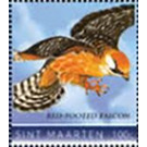 Red-footed falcon (Falco vespertinus) - Caribbean / Sint Maarten 2020