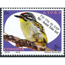 Red-fronted Tinkerbird (Pogoniulus pusillus) - East Africa / Ethiopia 2019 - 3