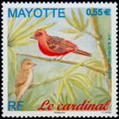 Red-headed Fody (Foudia eminentissima) - East Africa / Mayotte 2009 - 0.55