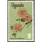 Red-hot-poker tree (Erythrina abyssinica) - East Africa / Uganda 1969 - 10