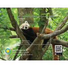 Red Panda (Ailurus fulgens) - Melanesia / Vanuatu 2021