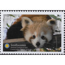 Red Panda (Ailurus fulgens) - Melanesia / Vanuatu 2021