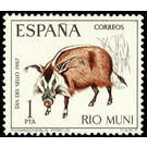 Red River Hog (Potamochoerus porcus) - Central Africa / Equatorial Guinea  / Rio Muni 1967 - 1