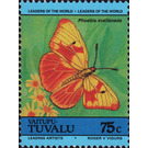 Red-splashed Sulphur (Phoebis avellaneda) - Polynesia / Tuvalu, Vaitupu 1985