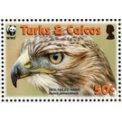 Red-tailed Hawk (Buteo jamaicensis) - Caribbean / Turks and Caicos Islands 2007 - 50