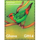 Red-throated Parrotfinch    Erythrura psittacea - West Africa / Ghana 2017 - 4
