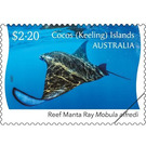 Reef Manta Ray (Mobula alfredi) - Cocos (Keeling) Islands 2021 - 2.20