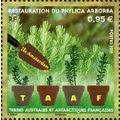 Reforestation of Amsterdam Island - French Australian and Antarctic Territories 2019 - 0.95