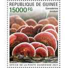 Reishi (Ganoderma lucidum) - West Africa / Guinea 2021