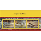 Reptiles of Mali - West Africa / Mali 2021