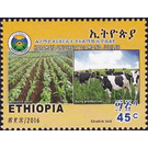 Research plots and Dairy production - East Africa / Ethiopia 2016 - 45