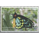 Richmond Birdwing Butterfly (Ornithoptera richmondia) - Polynesia / Cook Islands 2020 - 50