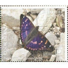 Richmond Birdwing Butterfly (Ornithoptera richmondia) - Polynesia / Cook Islands 2020 - 50