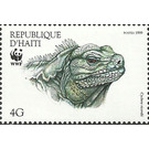 Ricord's Ground Iguana (Cyclura ricordii) - Caribbean / Haiti 1999 - 4