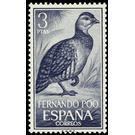 Ring-necked Francolin (Scleroptila streptophora) - Central Africa / Equatorial Guinea  / Fernando Po 1964 - 3