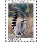 Ring-tailed lemur - Caribbean / Grenada 2020 - 4