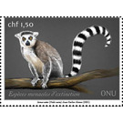 Ring-Tailed Lemur (Lemur catta) - UNO Geneva 2021 - 1.50