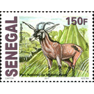 Roan Antelope (Hippotragus equinus) - West Africa / Senegal 2017