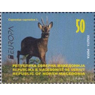 Roe Deer (Capreolus capreolus) - Macedonia / North Macedonia 2021 - 50