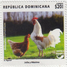 Rooster and Hen - Caribbean / Dominican Republic 2020