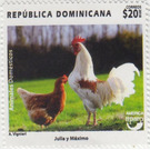 Rooster and Hen - Caribbean / Dominican Republic 2020