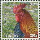 Rooster (Tambala) - East Africa / Malawi 2019 - 450