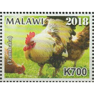 Rooster (Tambala) - East Africa / Malawi 2019 - 700