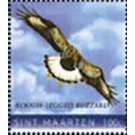 Rough-legged buzzard (Buteo lagopus) - Caribbean / Sint Maarten 2020