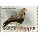 Rough-legged Hawk - Norway 2018 - 48