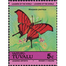 Ruddy Daggerwing (Marpesia petreus) - Polynesia / Tuvalu, Vaitupu 1985