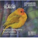 Saffron Finch (Sicalis flaveola) - South America / Ecuador 2019 - 0.50