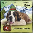 Saint Bernard - Croatia 2019 - 3.10