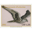 Saker Falcon (Falco cherrug) - UNO Geneva 2020 - 1.50
