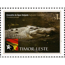 Saltwater Crocodile - Crocodylus porosus - East Timor 2010 - 1