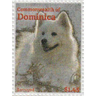 Samoyed (Canis lupus familiaris) - Caribbean / Dominica 2013 - 1.45