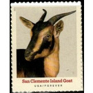 San Clemente Island Goat - United States of America 2021