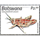 Saw-Backed Locust - South Africa / Botswana 2019 - 2