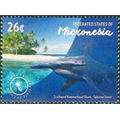 Scalloped hammerhead shark - Micronesia / Micronesia, Federated States 2015 - 26