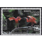 Scarlet Ibis (Eudocimus ruber) - Polynesia / Tonga 2020