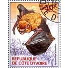 Schlieffen's Bat (Nycticeinops schlieffeni) - West Africa / Ivory Coast 2014 - 500