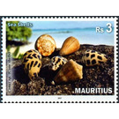 Sea Shells of Mauritius - East Africa / Mauritius 2017