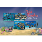 Sea Snakes - Polynesia / Tuvalu 2021