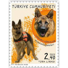 Search & Rescue Dog, German Shepherd (Canis lupus familiaris - Turkey 2020 - 2.40