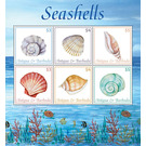 Seashells - Caribbean / Antigua and Barbuda 2020